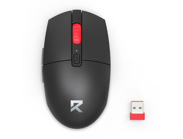 Mouse BM-2839