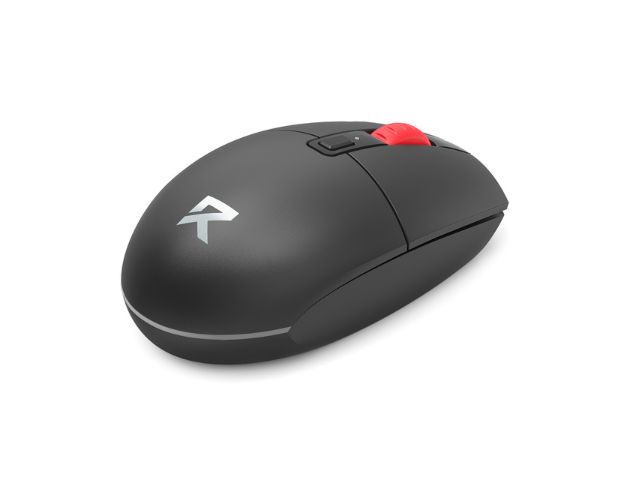 Mouse BM-2839